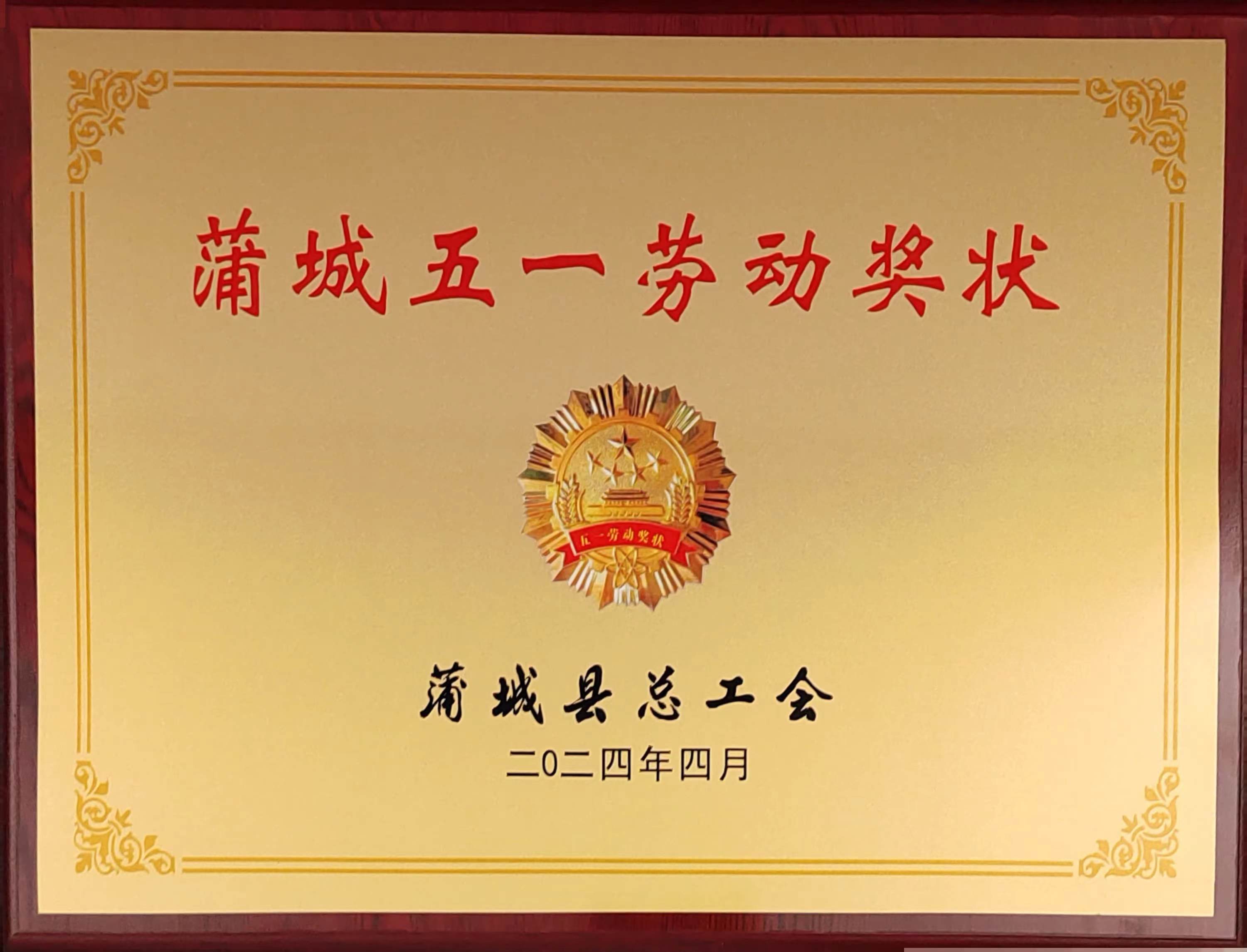 蒲城五一劳动奖状